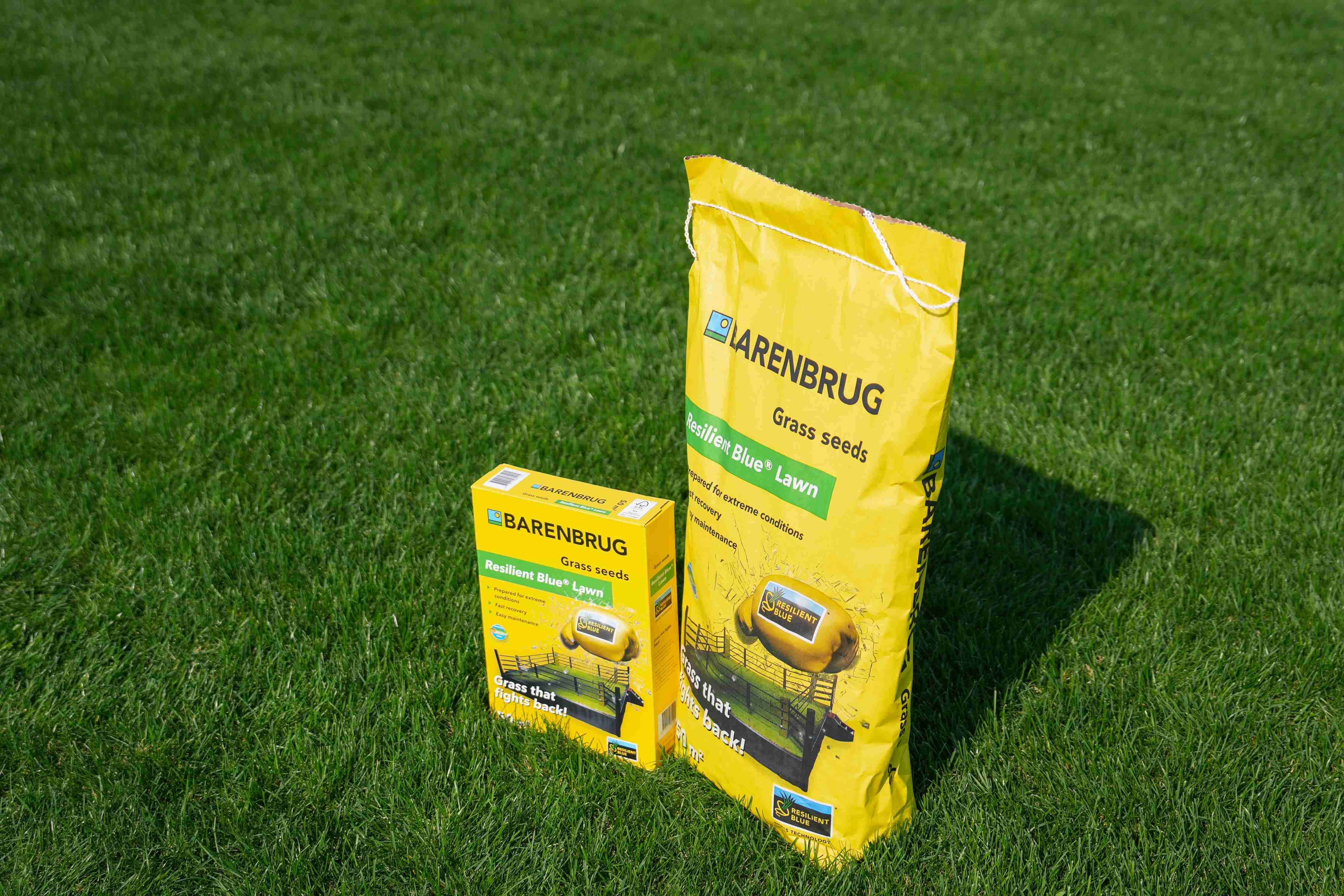 Resilient Blue Lawn 5.jpg